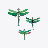 Dragonflies