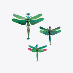 Dragonflies