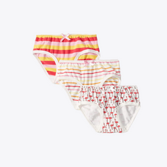 Tropical Flamingo | 3 Pack