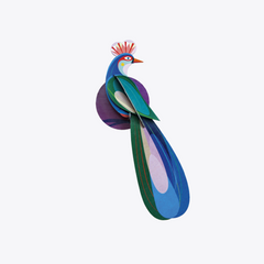 Banda Paradise Bird