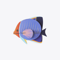 Butterfly Fish
