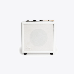 Loog Mini Amp