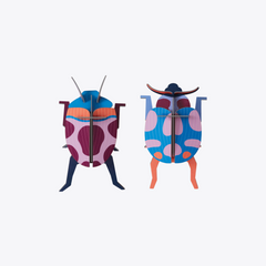 Coccinelle Couple