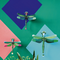 Dragonflies