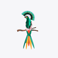 Gili Paradise Bird