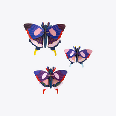 Swallowtail Butterflies
