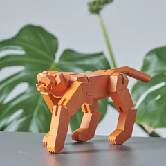 Morphits | Tiger