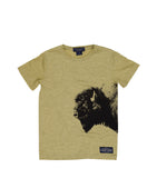 Bison | Yellow Stone